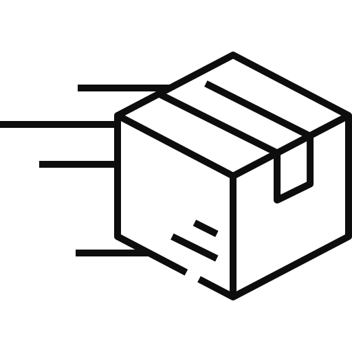 Express Shipping Icon